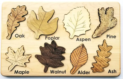Montessori Wooden Leaf Matching Puzzle - Nature Learning Activity, Aged 3+